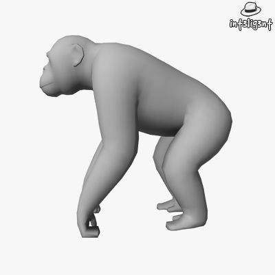 Low Poly Chimpanzee gorilla Low-poly 3D model_1