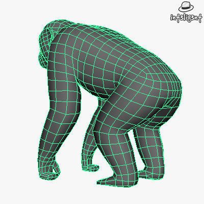 Low Poly Chimpanzee gorilla Low-poly 3D model_5