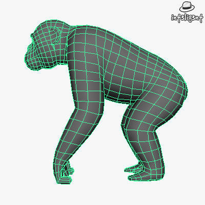 Low Poly Chimpanzee gorilla Low-poly 3D model_4