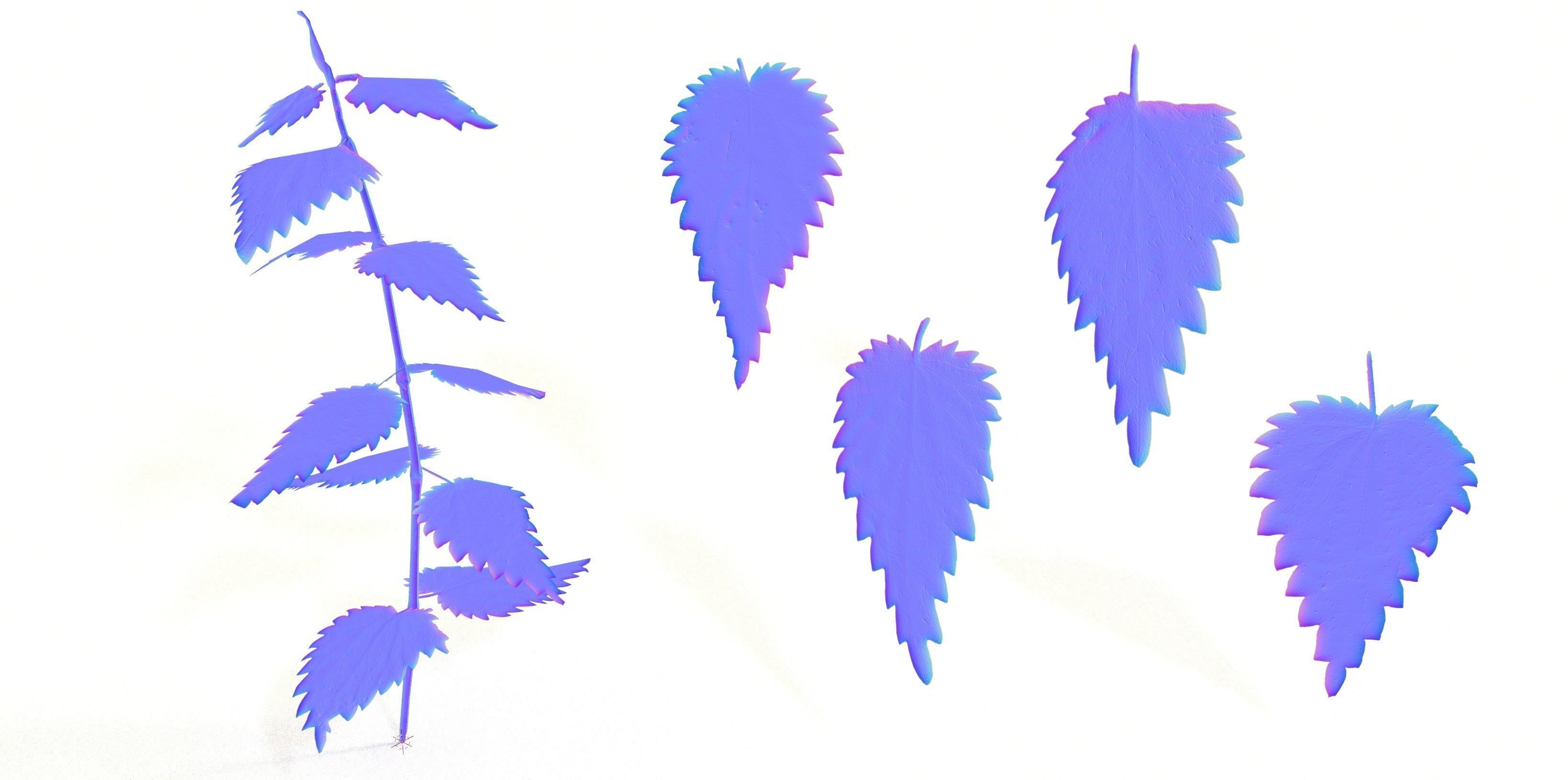 Stinging Nettle Photoreal and Game Ready Low-poly 3D model_4
