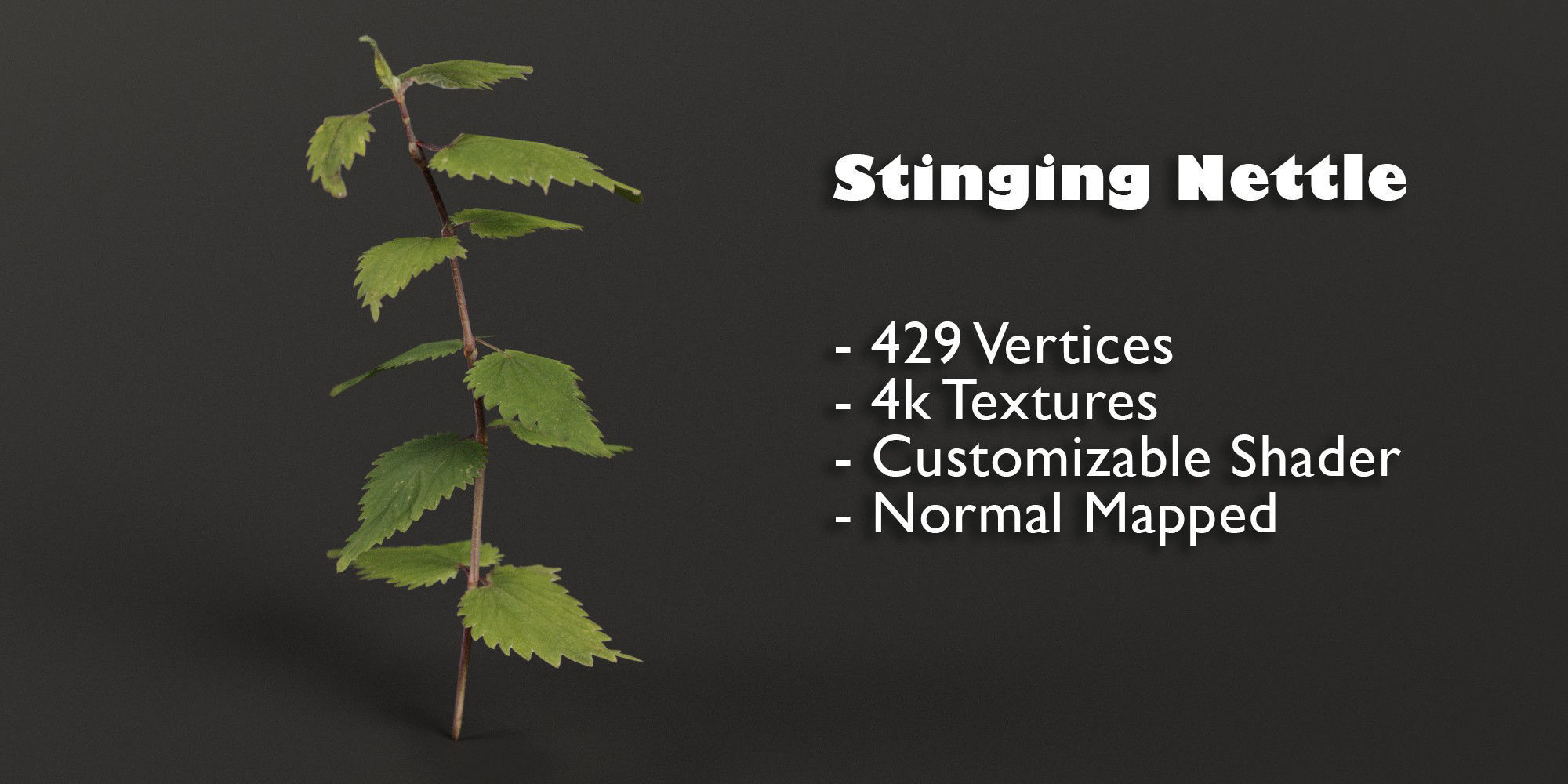 Stinging Nettle Photoreal and Game Ready Low-poly 3D model_1
