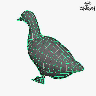 Low Poly Duck Low-poly 3D model_5
