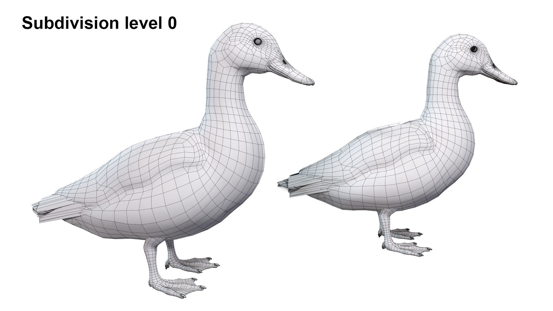 Waterfowl Collection two swans 3D model_43
