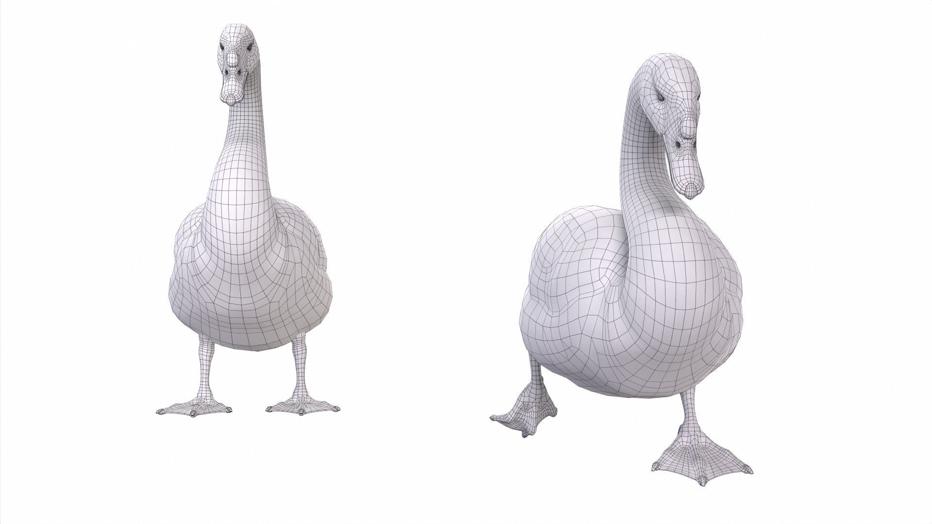 Waterfowl Collection two swans 3D model_10