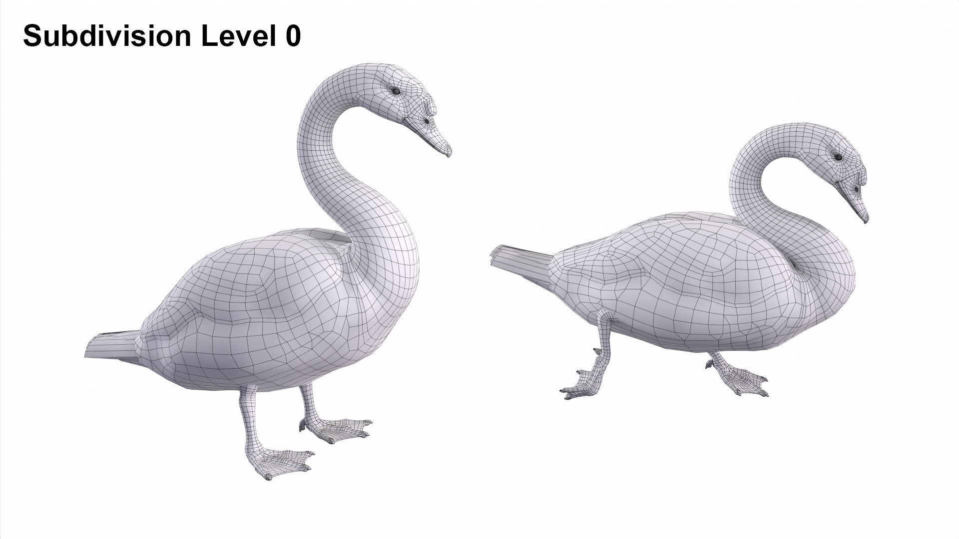 Waterfowl Collection two swans 3D model_13