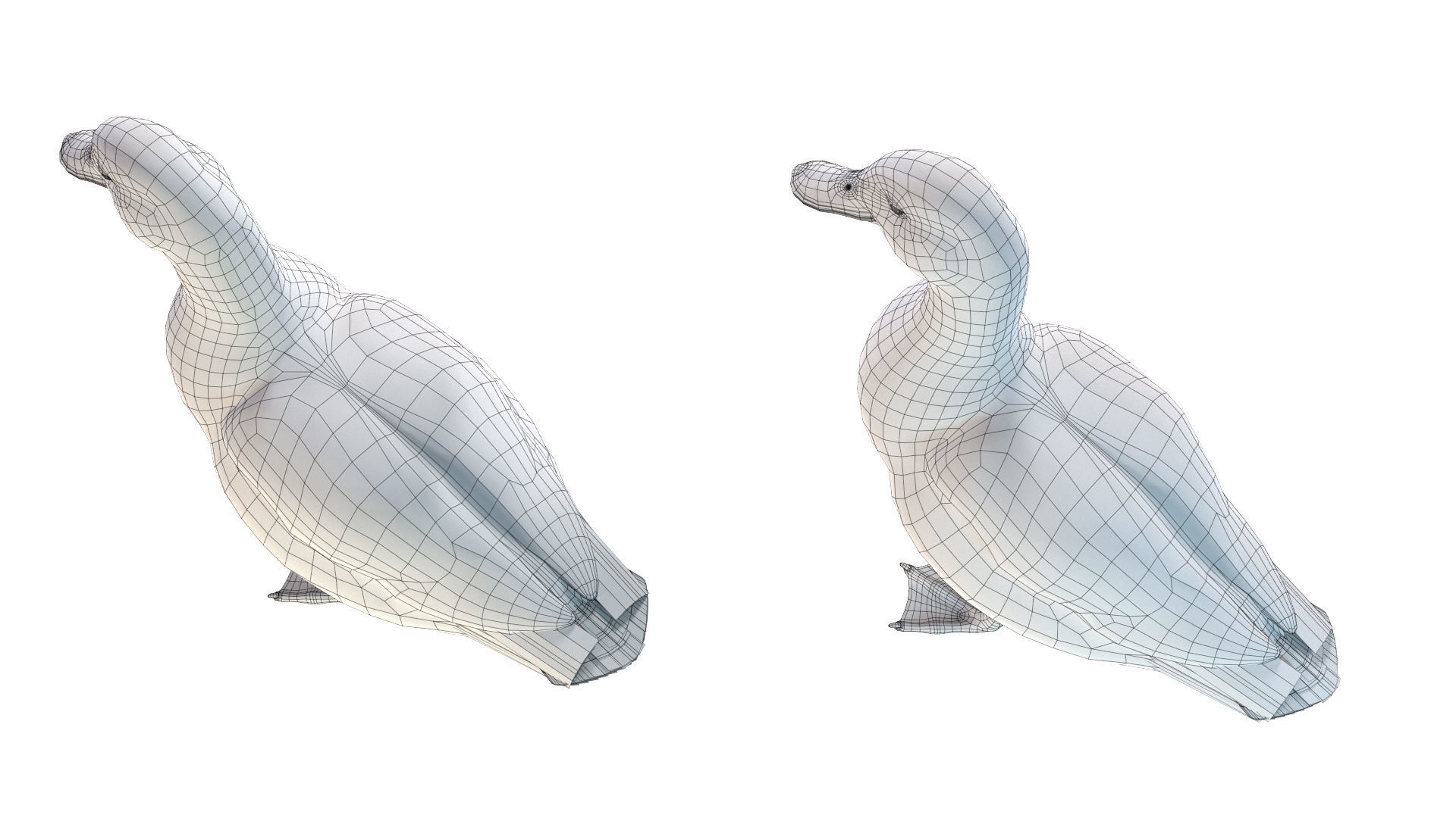 Waterfowl Collection two swans 3D model_40