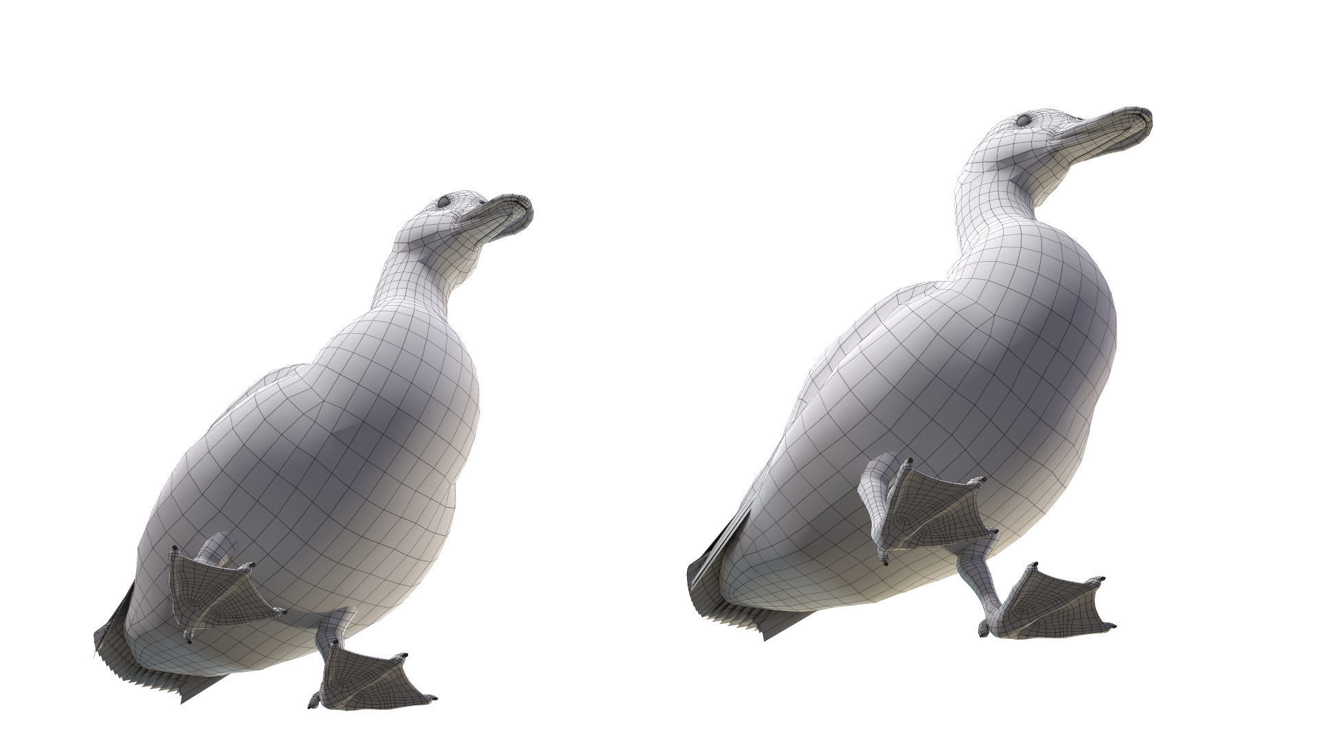 Waterfowl Collection two swans 3D model_41