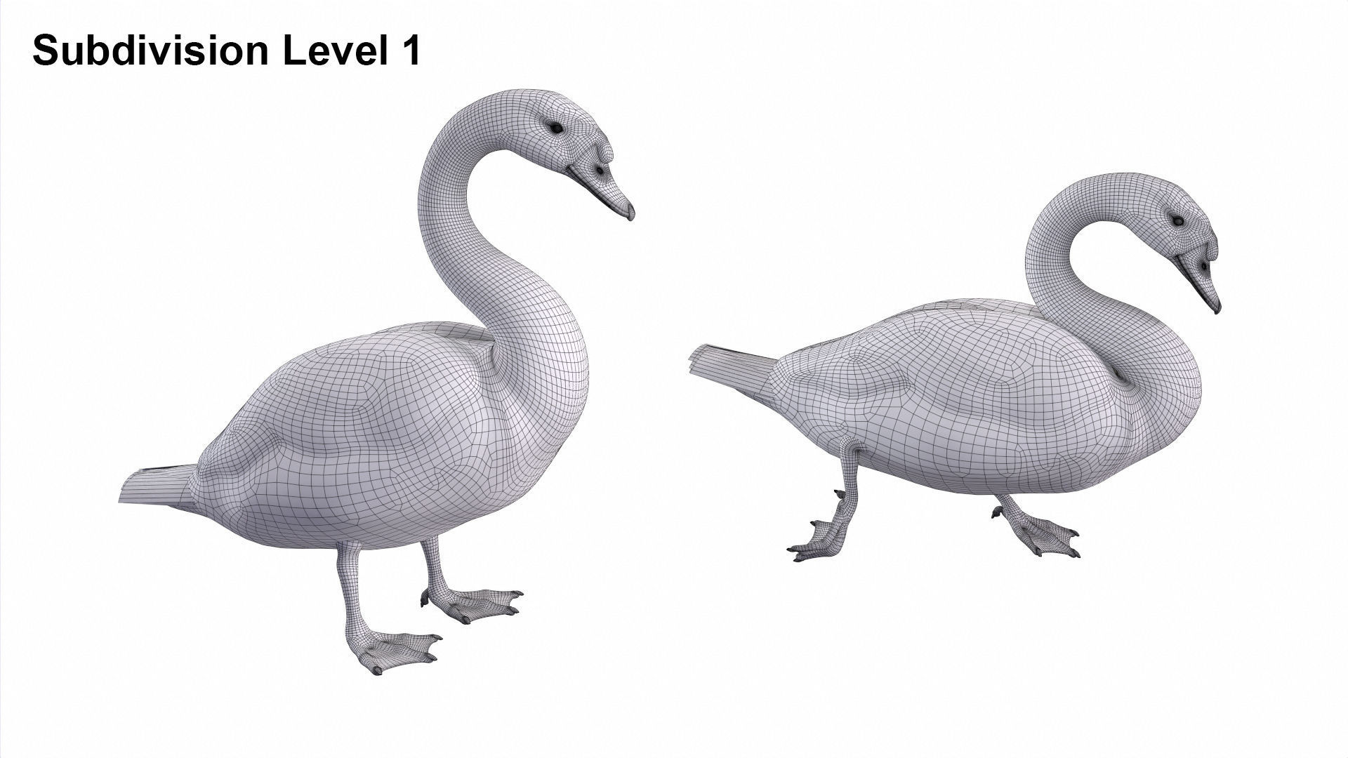 Waterfowl Collection two swans 3D model_14