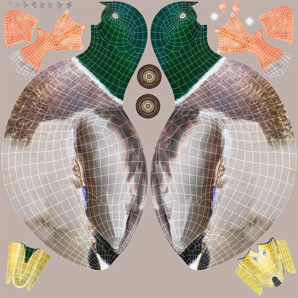 Waterfowl Collection two swans 3D model_46