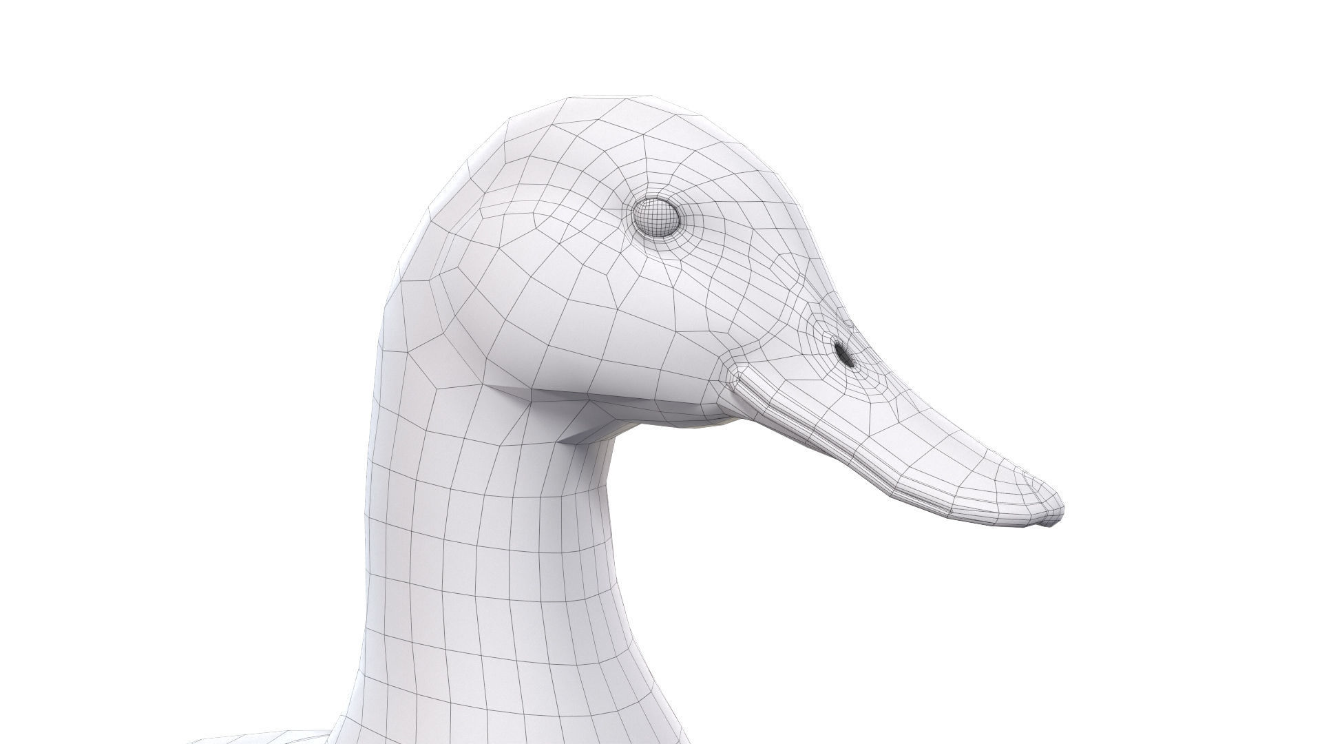 Waterfowl Collection two swans 3D model_42