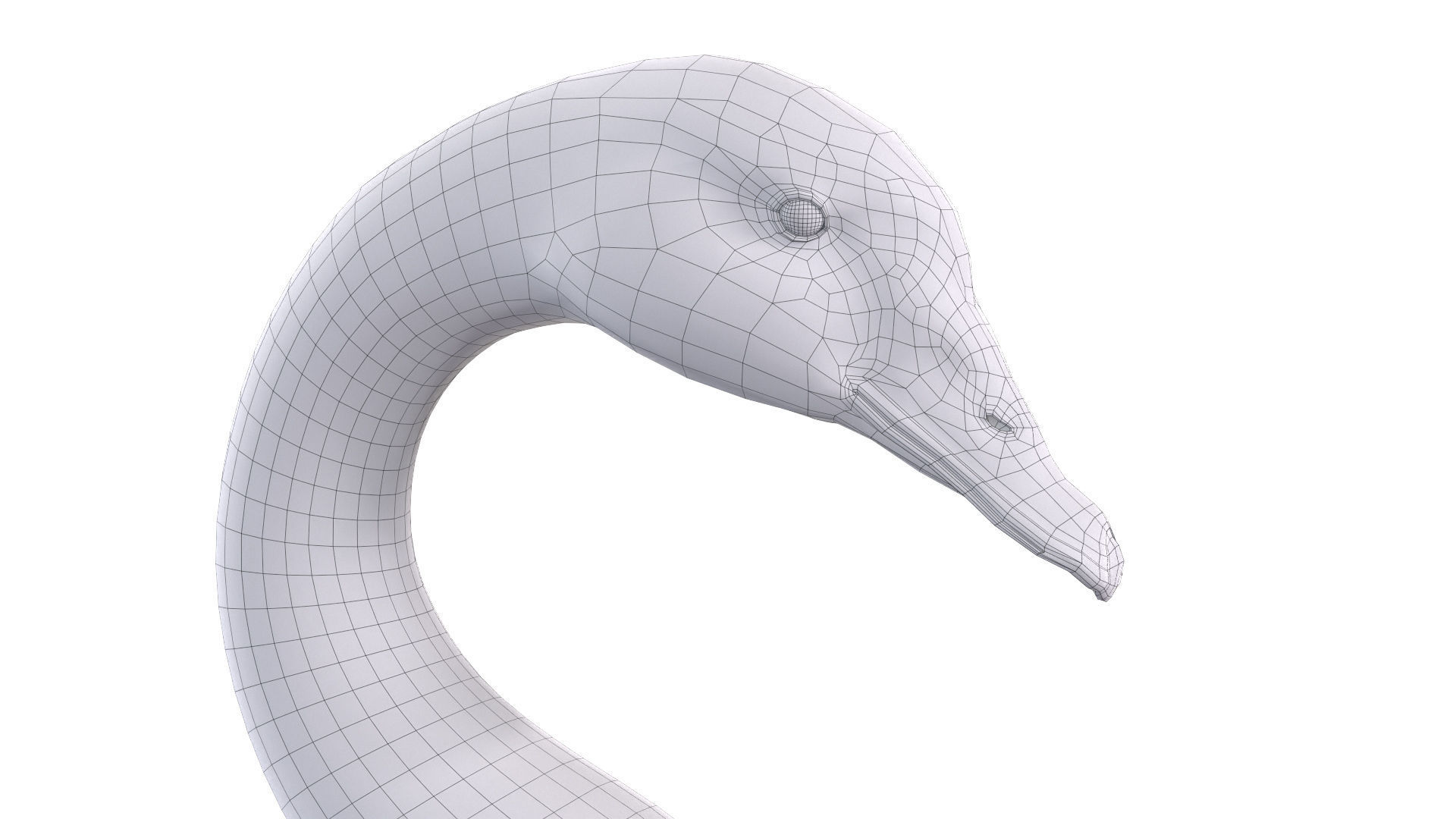 Waterfowl Collection two swans 3D model_24