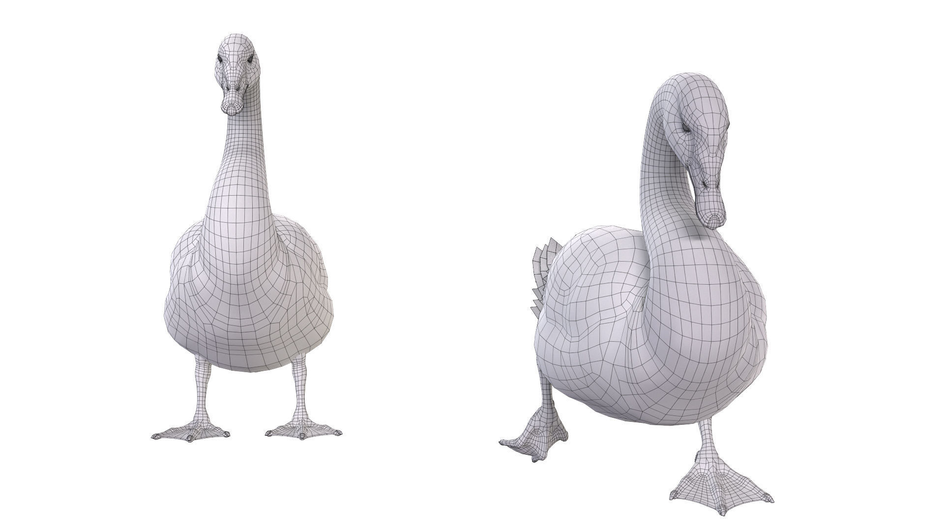 Waterfowl Collection two swans 3D model_26