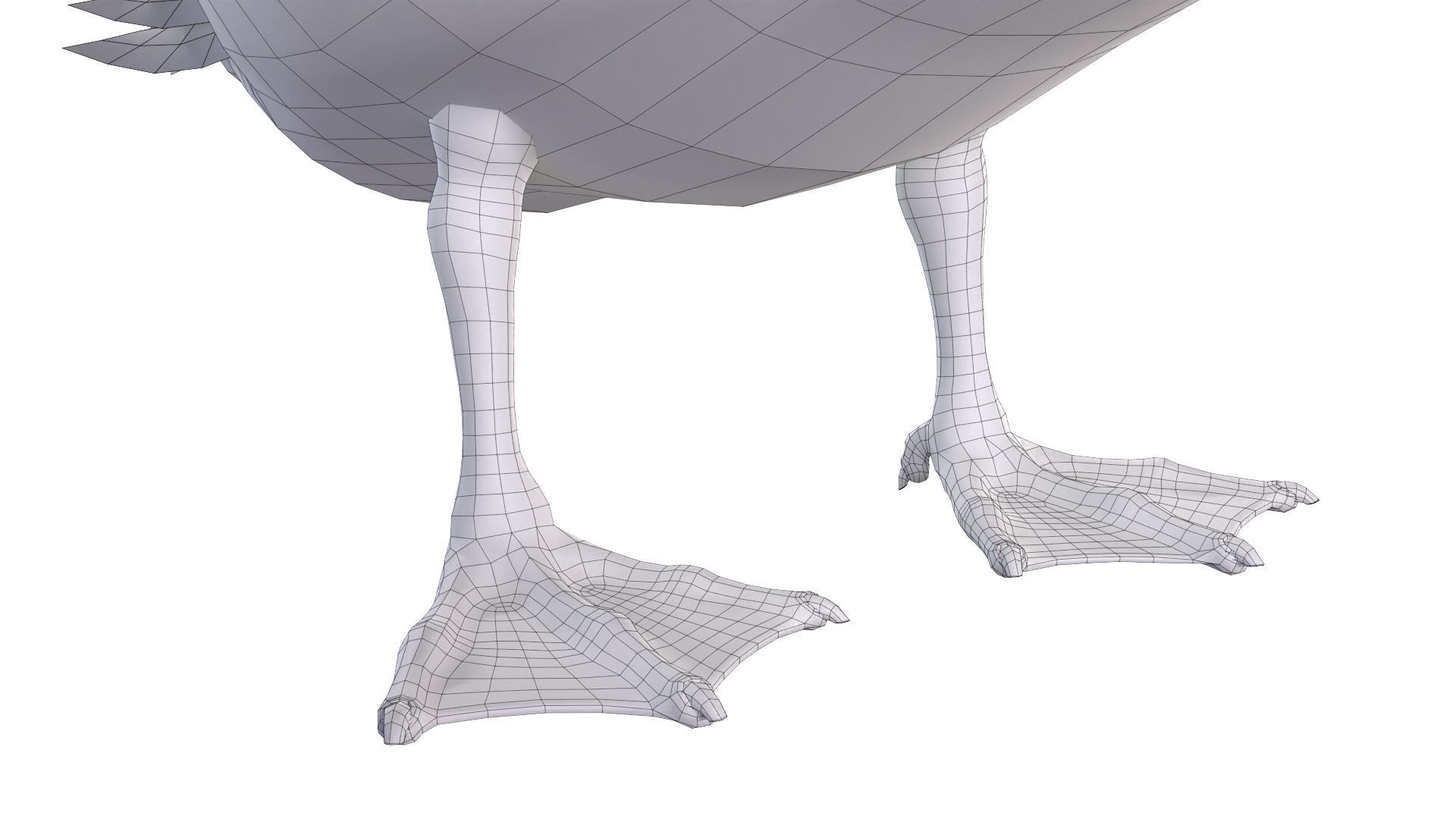 Waterfowl Collection two swans 3D model_21