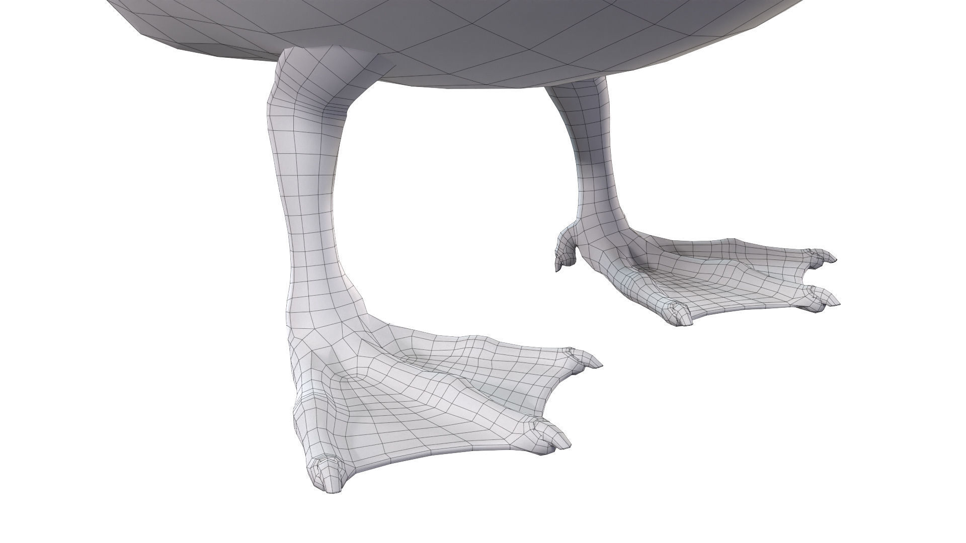 Waterfowl Collection two swans 3D model_39