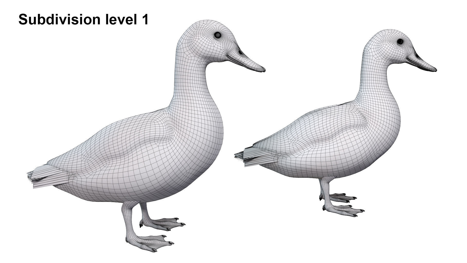 Waterfowl Collection two swans 3D model_44