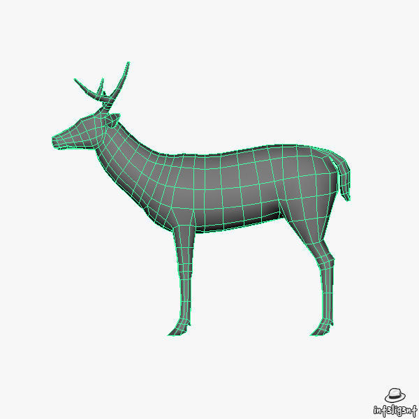Deer Model with antlers Low-poly 3D model_6
