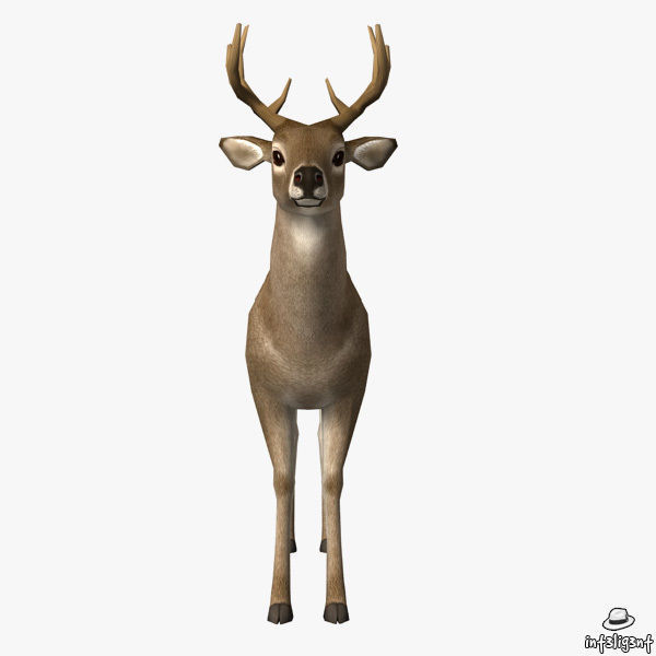 Deer Model with antlers Low-poly 3D model_2