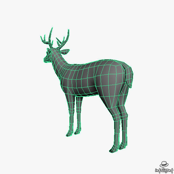 Deer Model with antlers Low-poly 3D model_7
