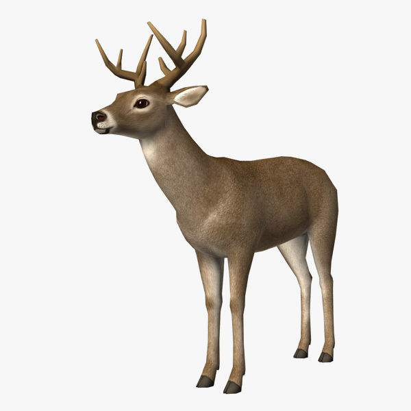 Deer Model with antlers Low-poly 3D model_1