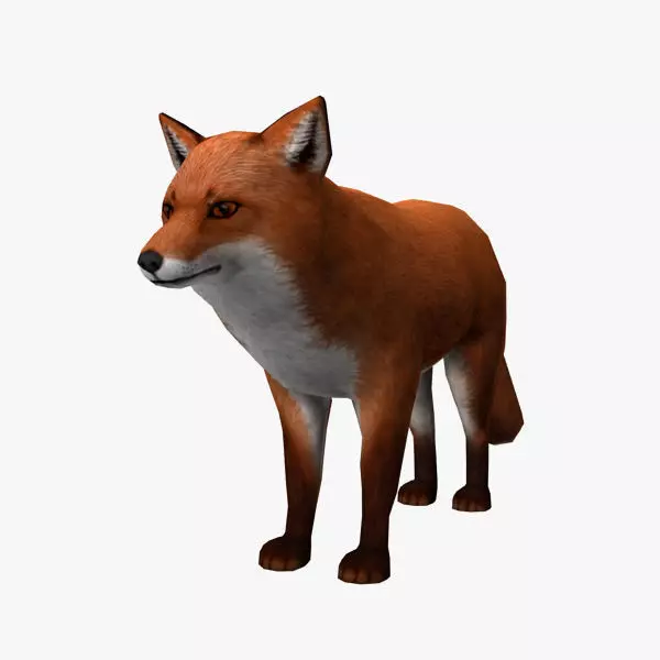 Fox Model Low-poly 3D model_0