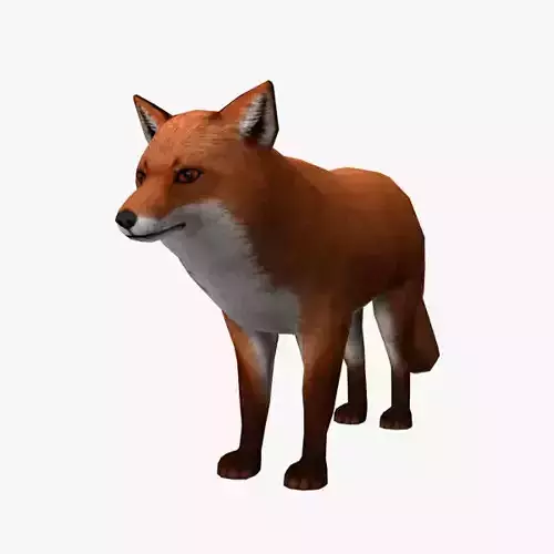 Fox Model