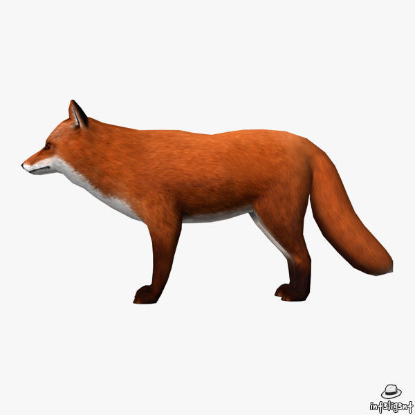 Fox Model Low-poly 3D model_2