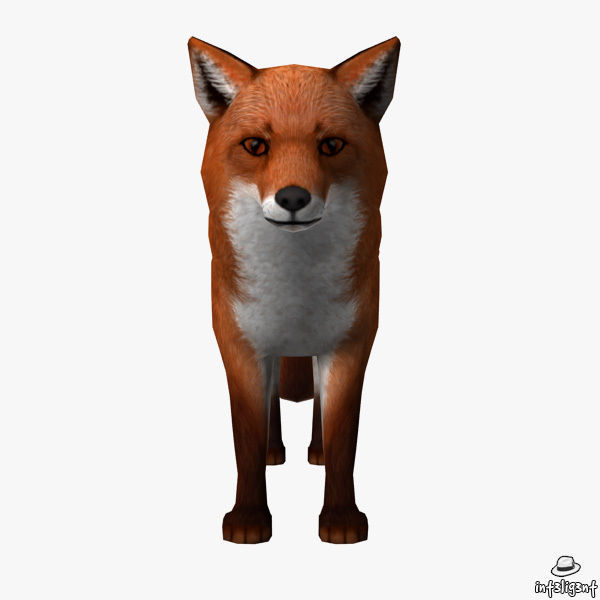 Fox Model Low-poly 3D model_1