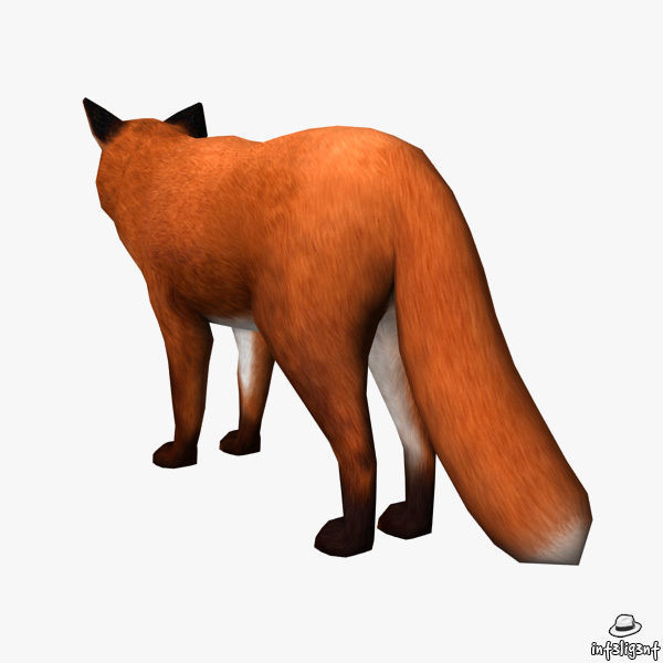 Fox Model Low-poly 3D model_3