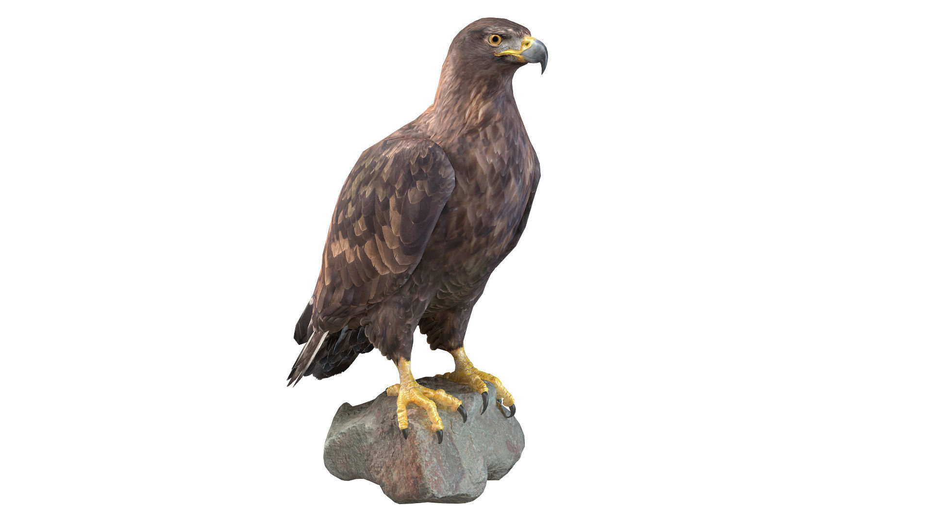 Birds Collection macaw perched on branch 3D model_81