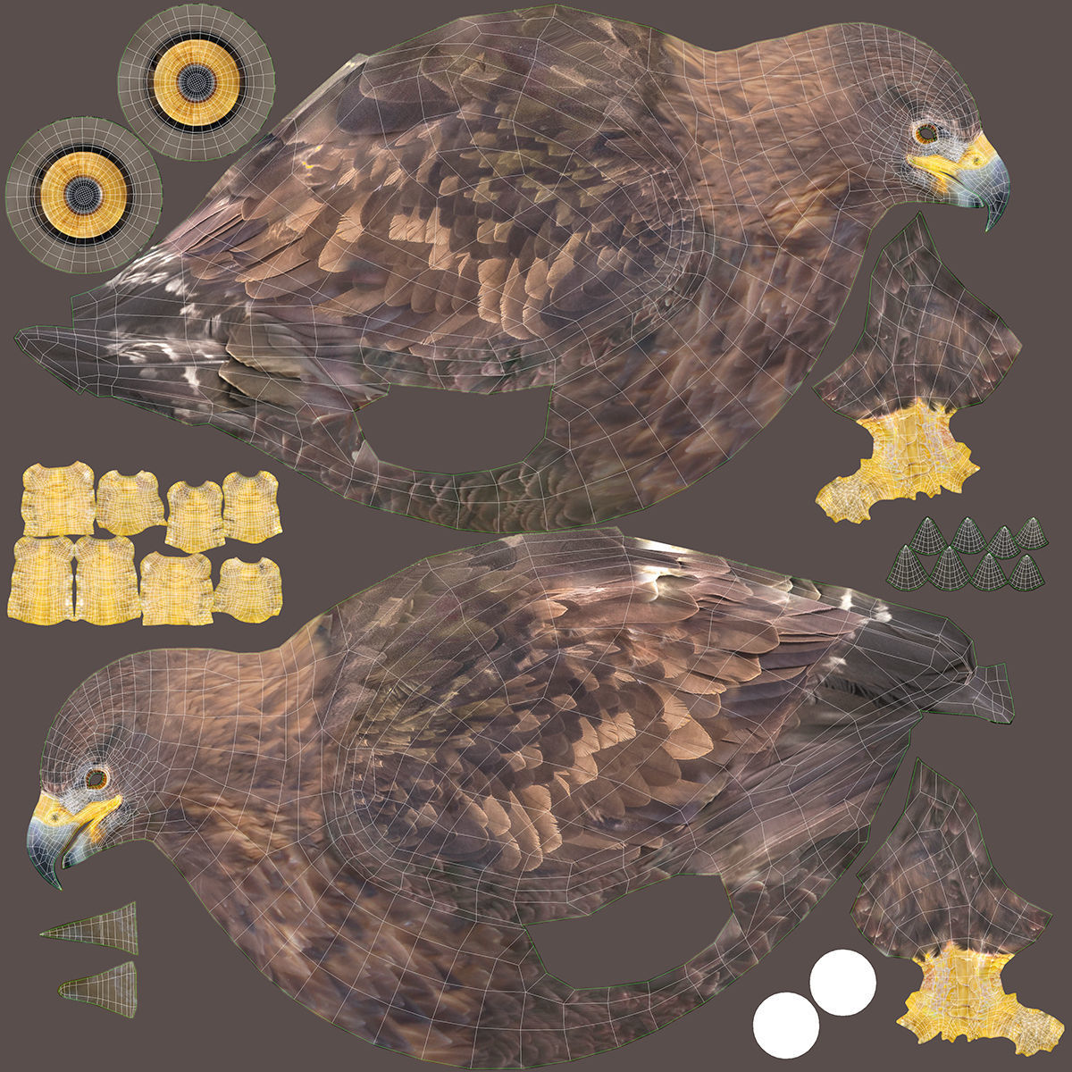 Birds Collection macaw perched on branch 3D model_92