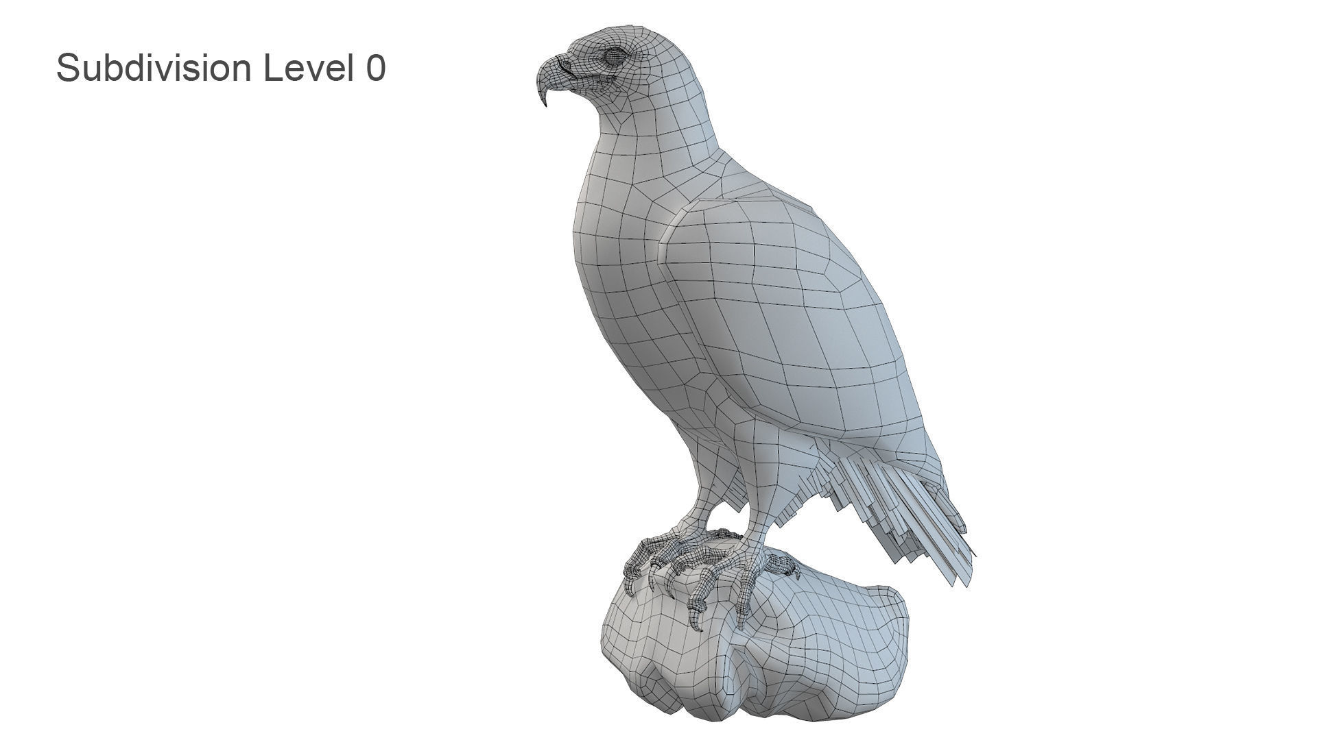 Birds Collection macaw perched on branch 3D model_88