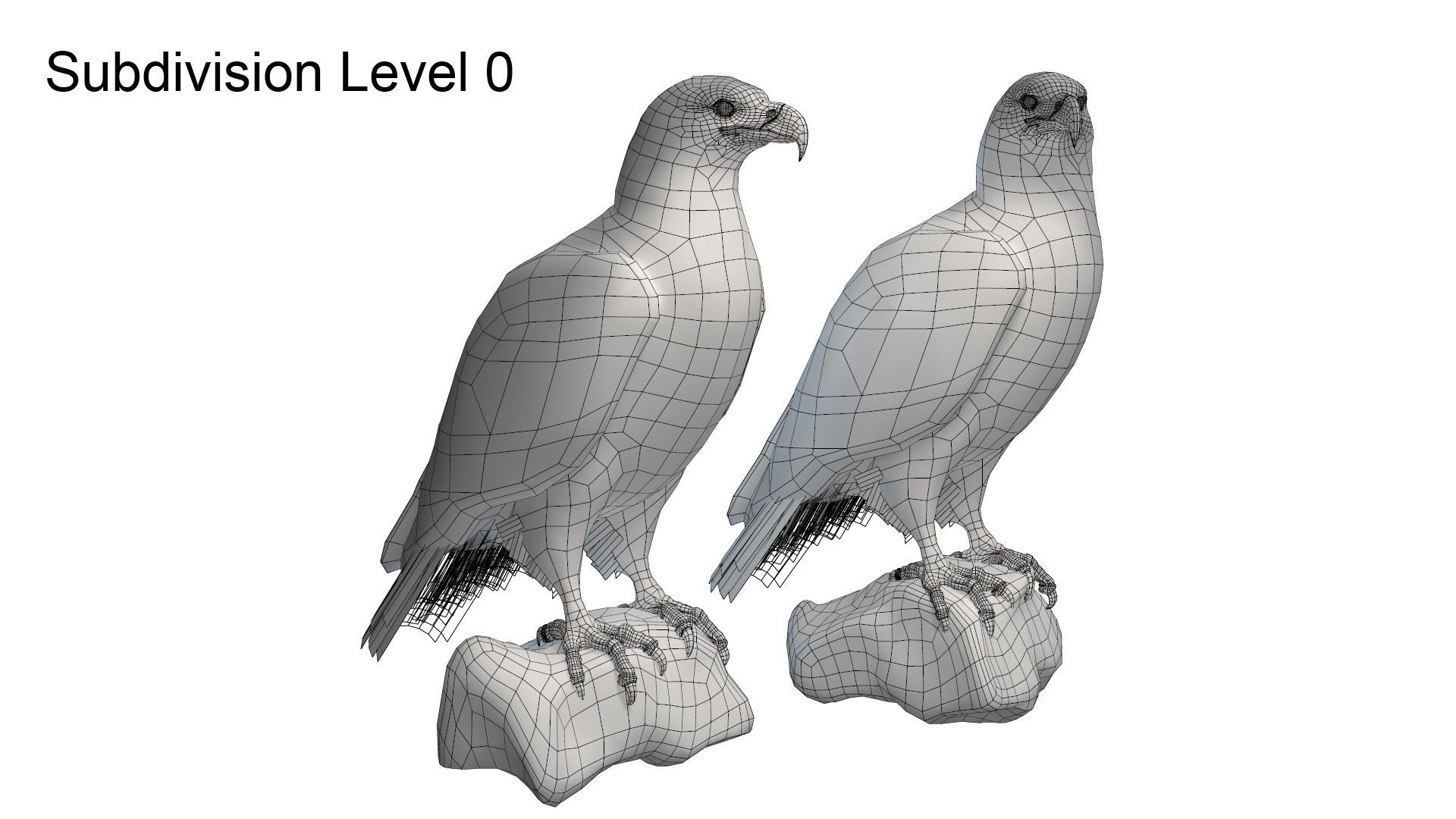 Birds Collection macaw perched on branch 3D model_104