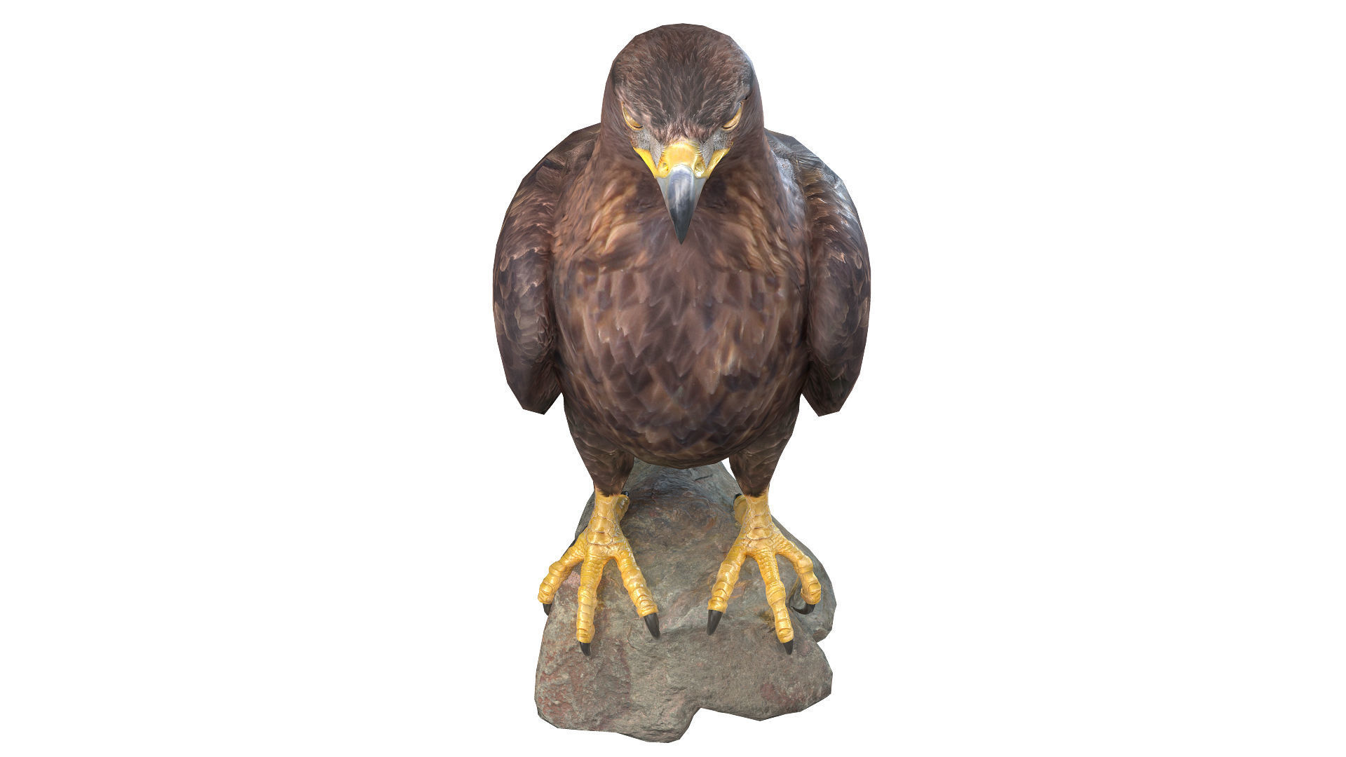 Birds Collection macaw perched on branch 3D model_85