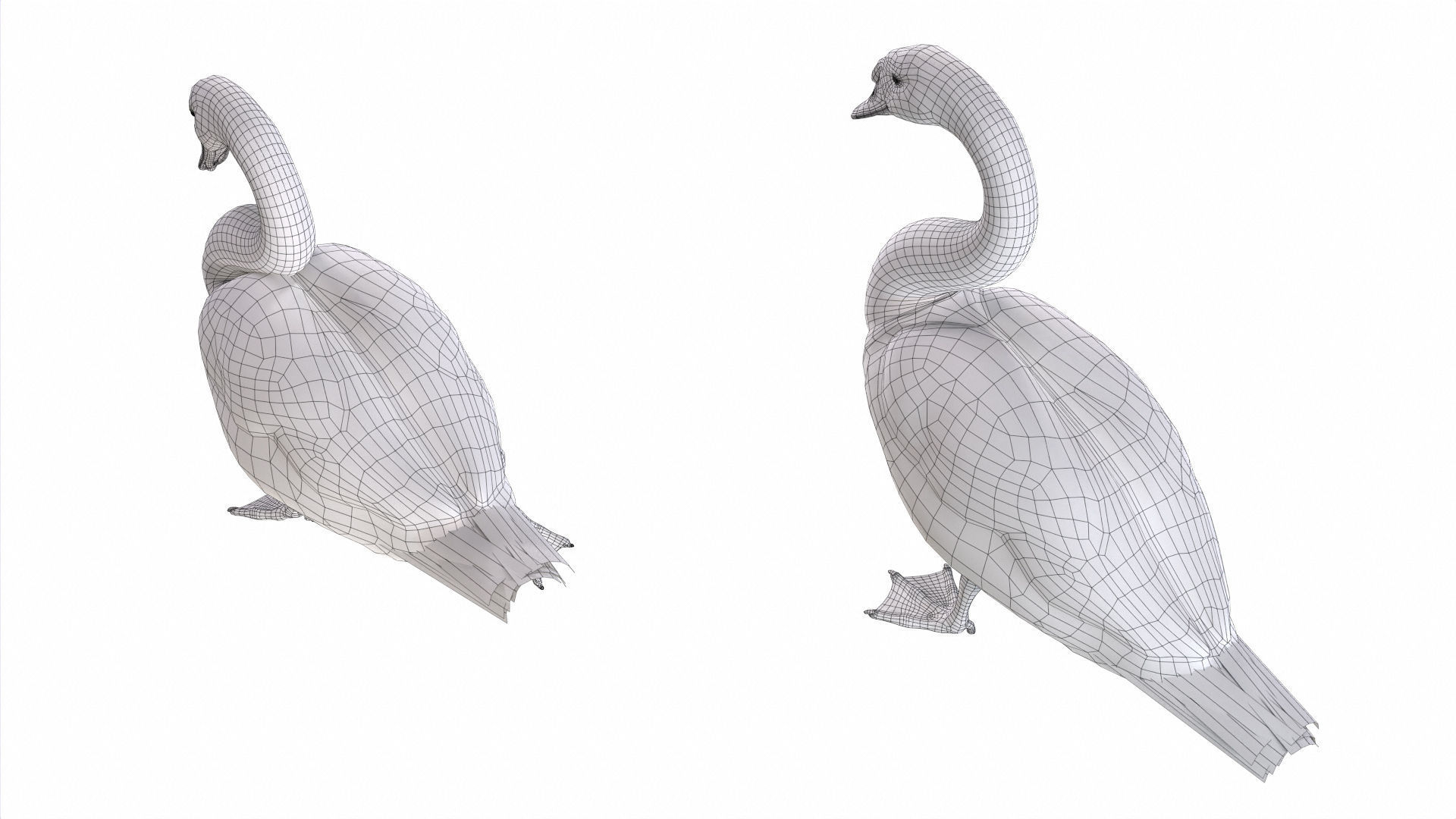 Birds Collection macaw perched on branch 3D model_20