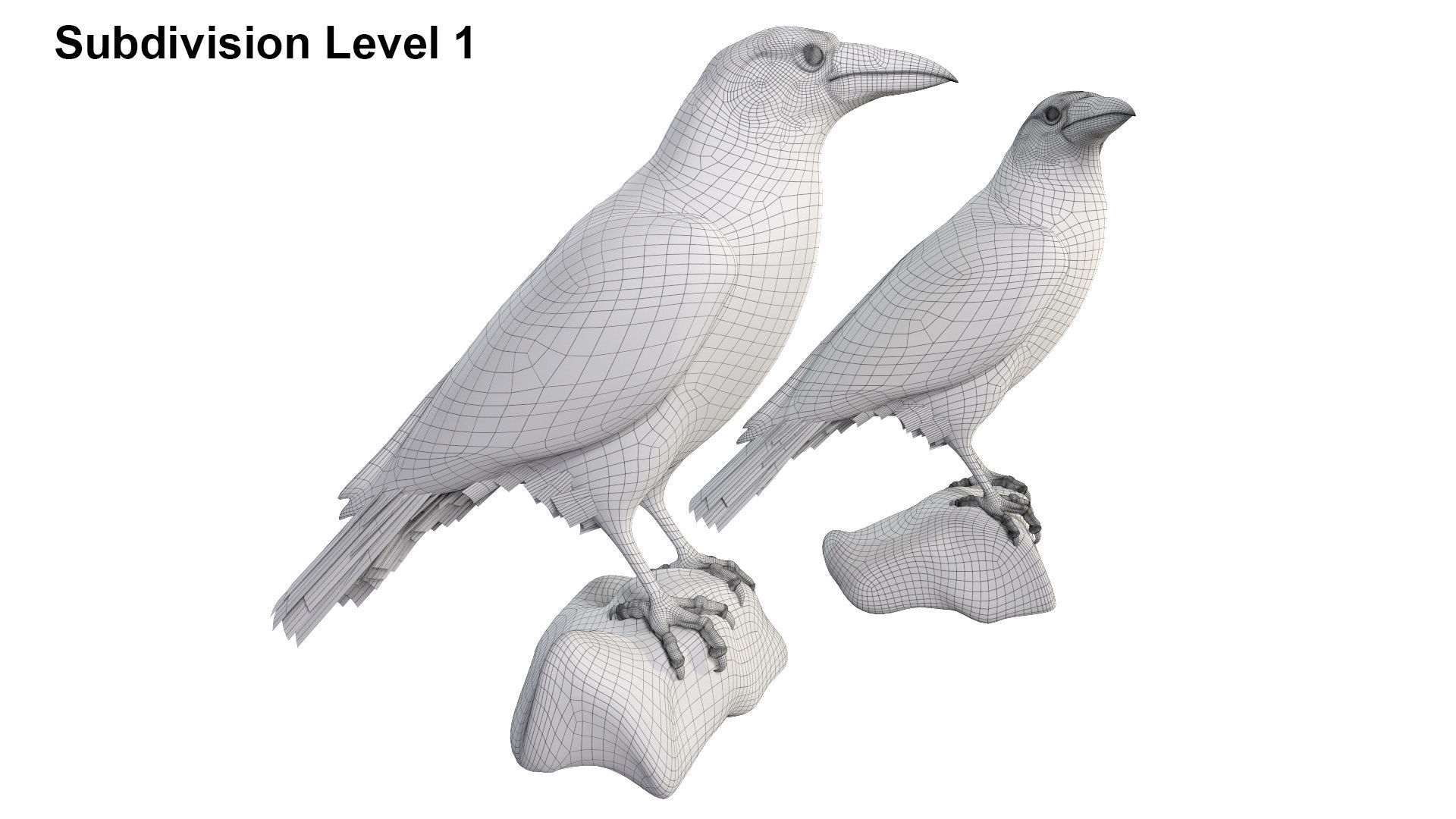 Birds Collection macaw perched on branch 3D model_142