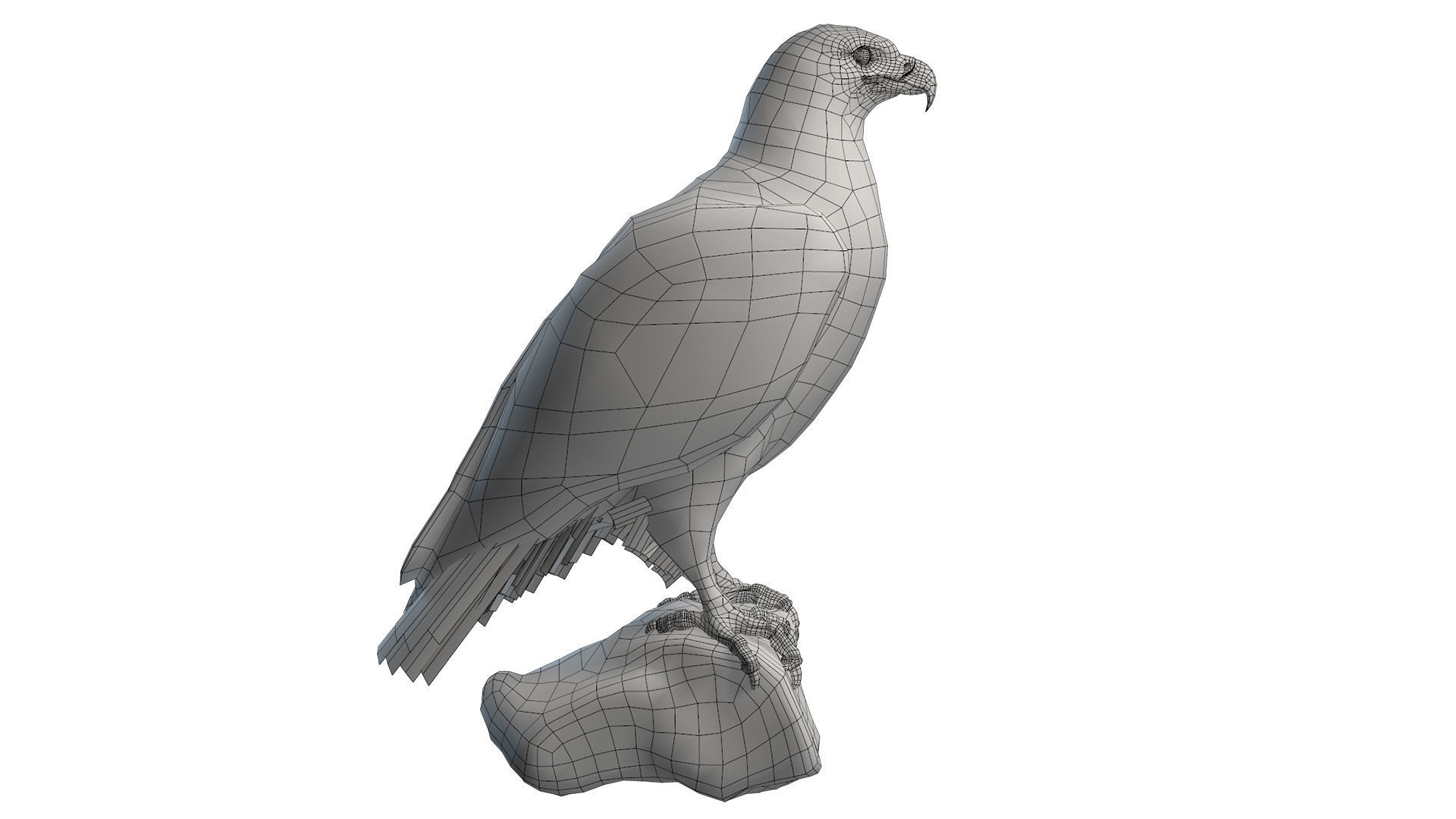 Birds Collection macaw perched on branch 3D model_91