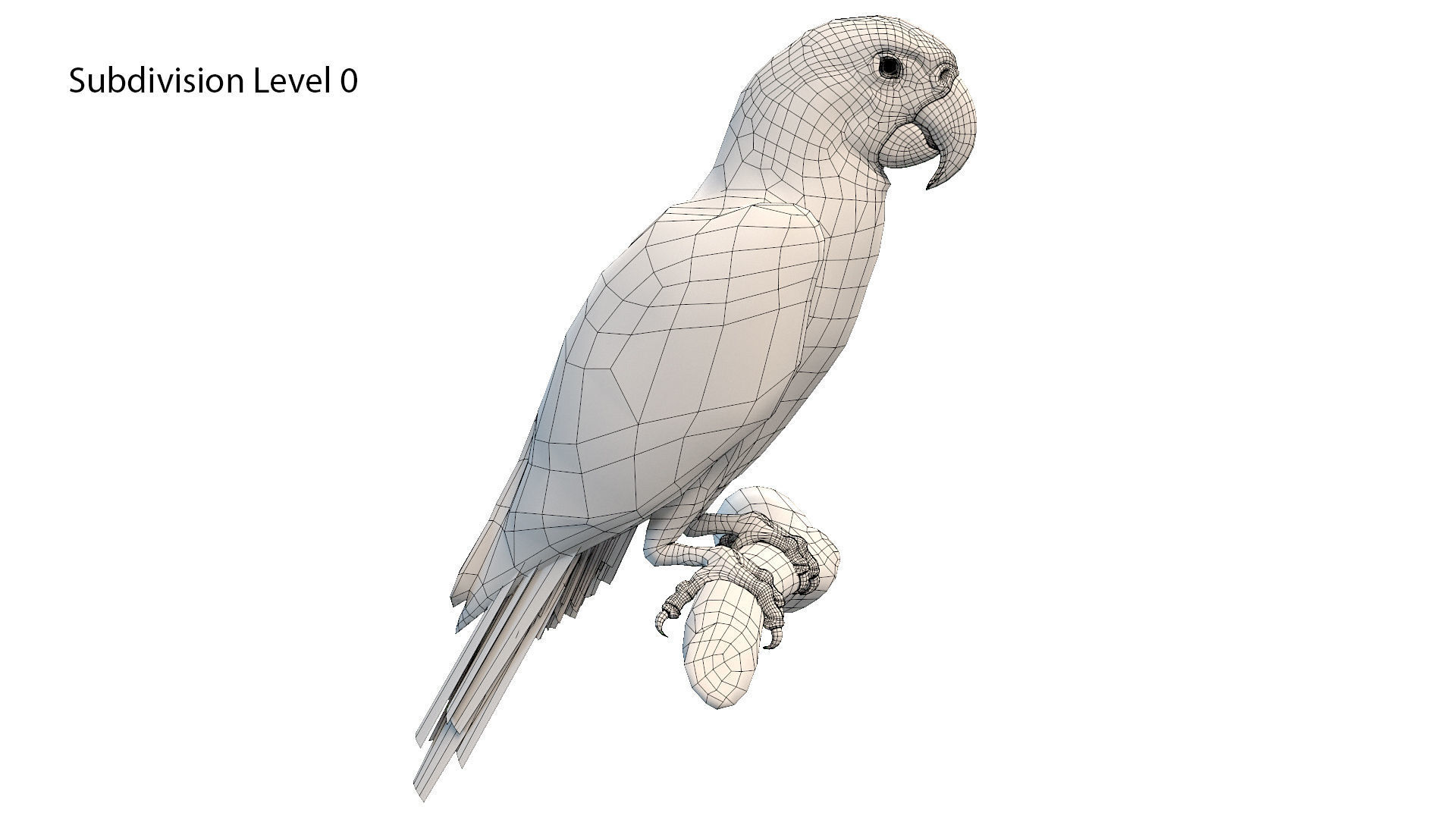 Birds Collection macaw perched on branch 3D model_60