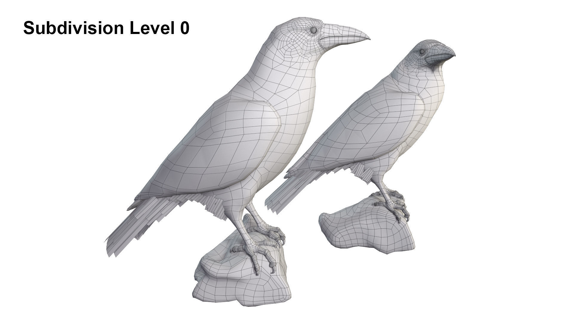 Birds Collection macaw perched on branch 3D model_152