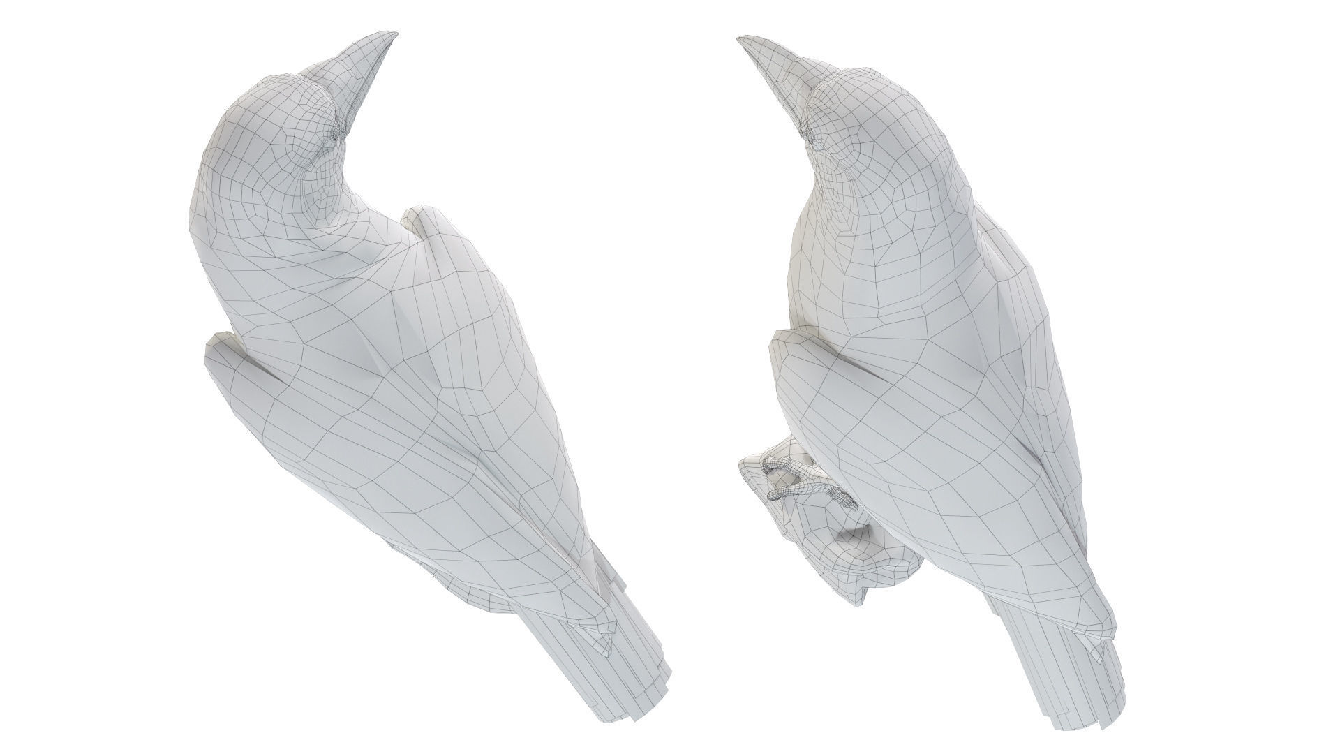 Birds Collection macaw perched on branch 3D model_137