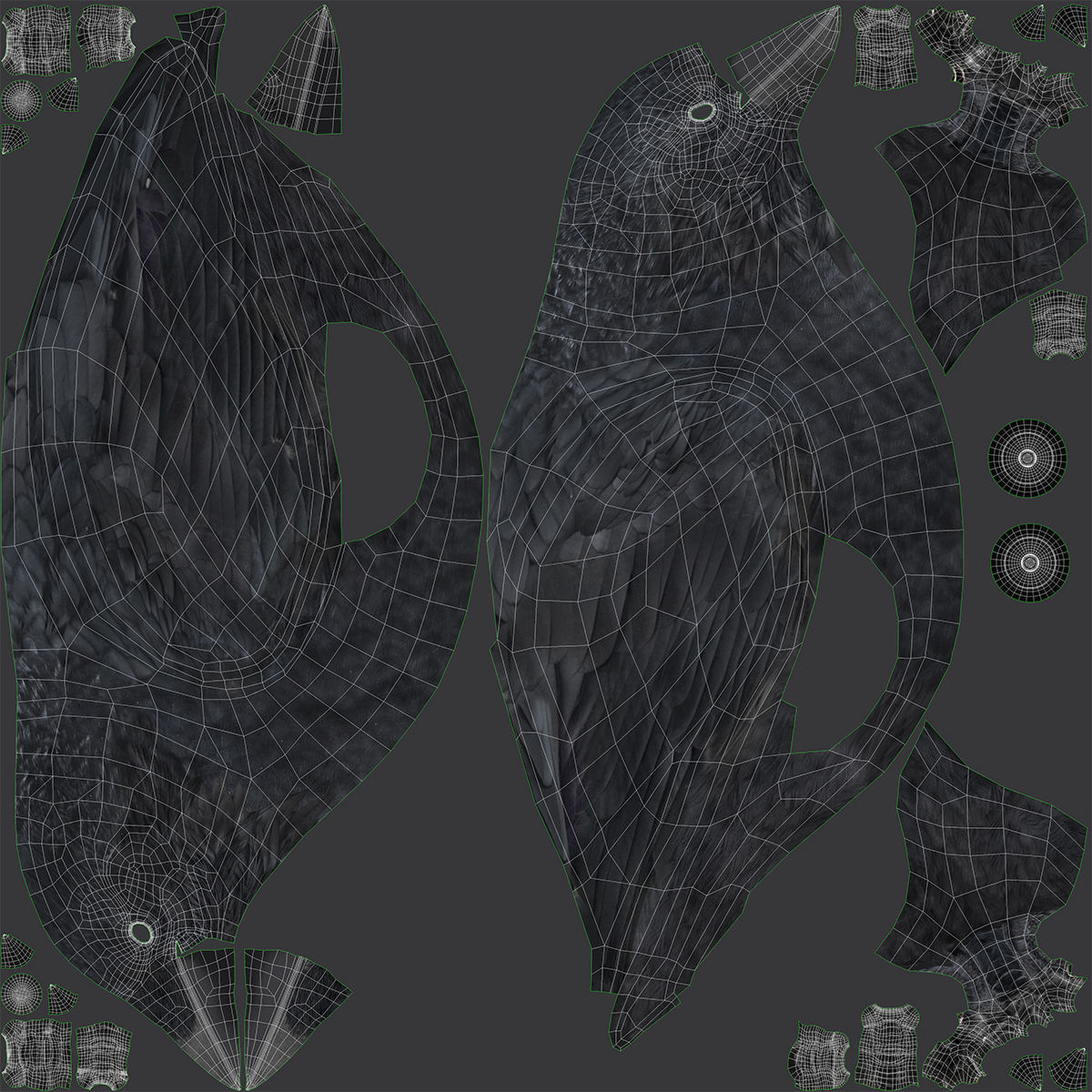 Birds Collection macaw perched on branch 3D model_154