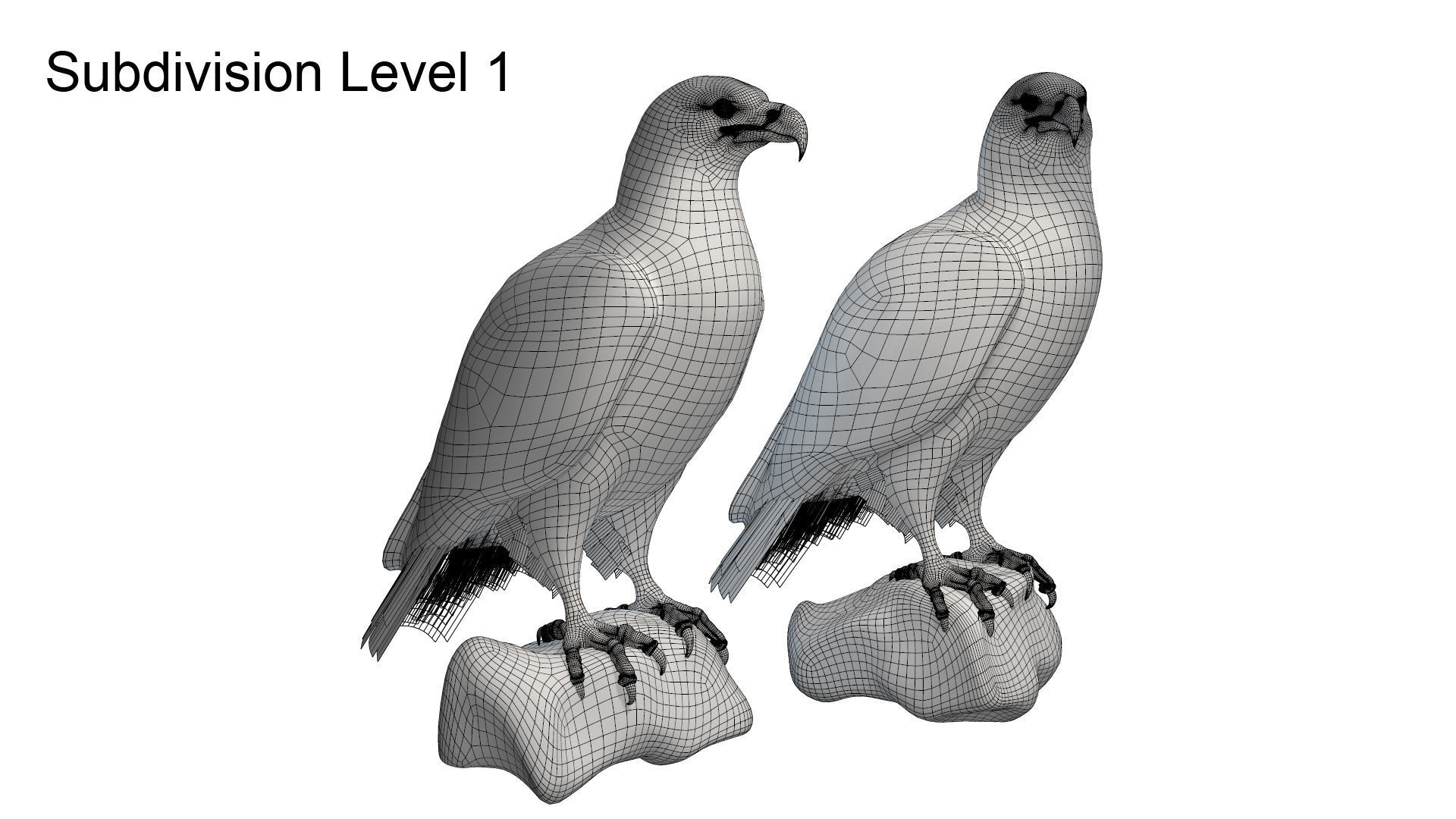 Birds Collection macaw perched on branch 3D model_105