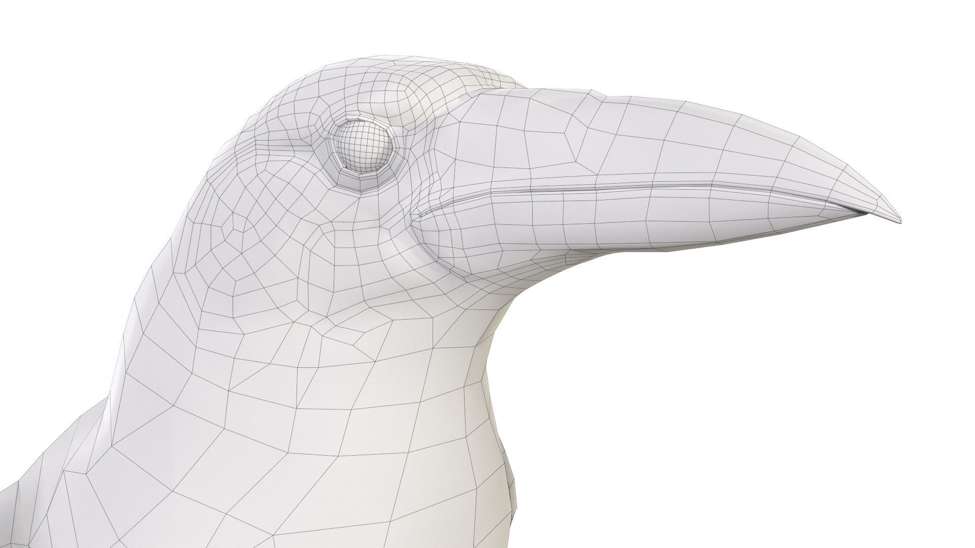 Birds Collection macaw perched on branch 3D model_140