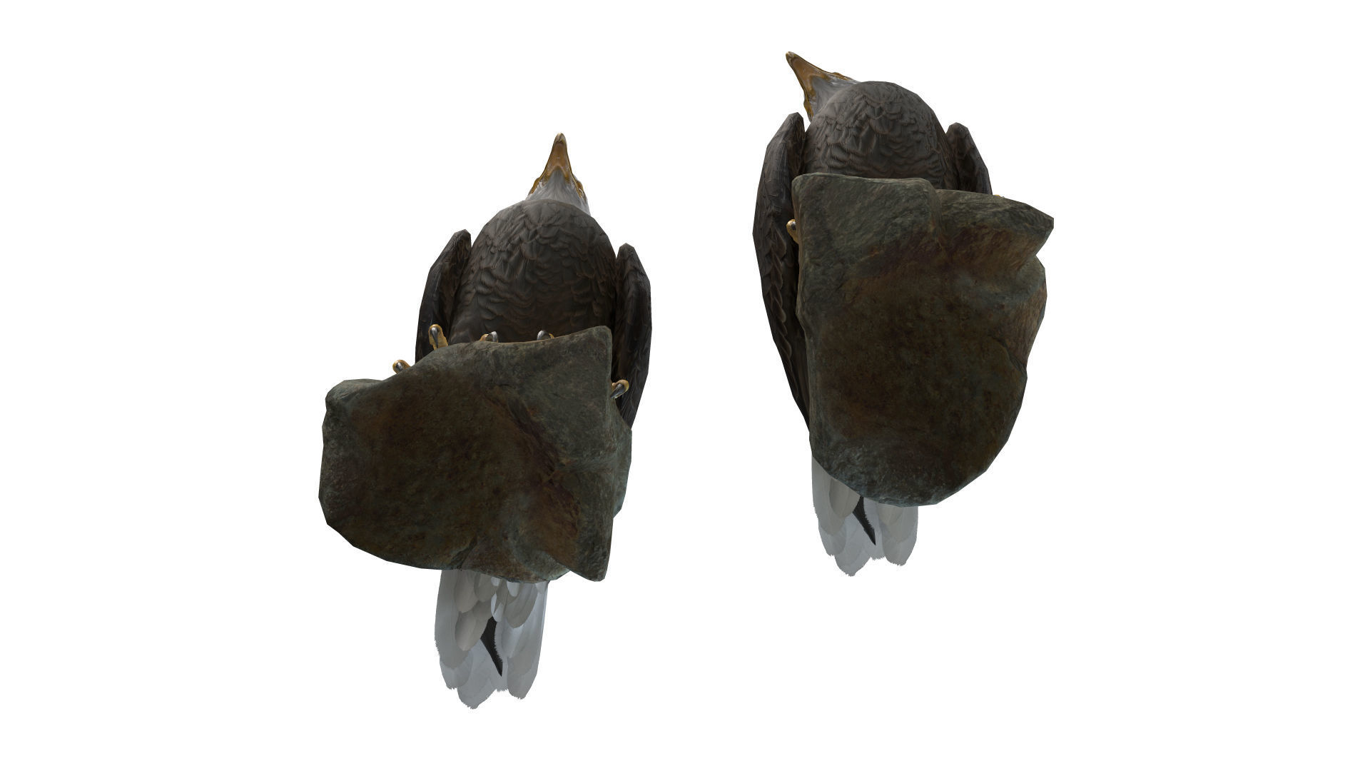 Birds Collection macaw perched on branch 3D model_99