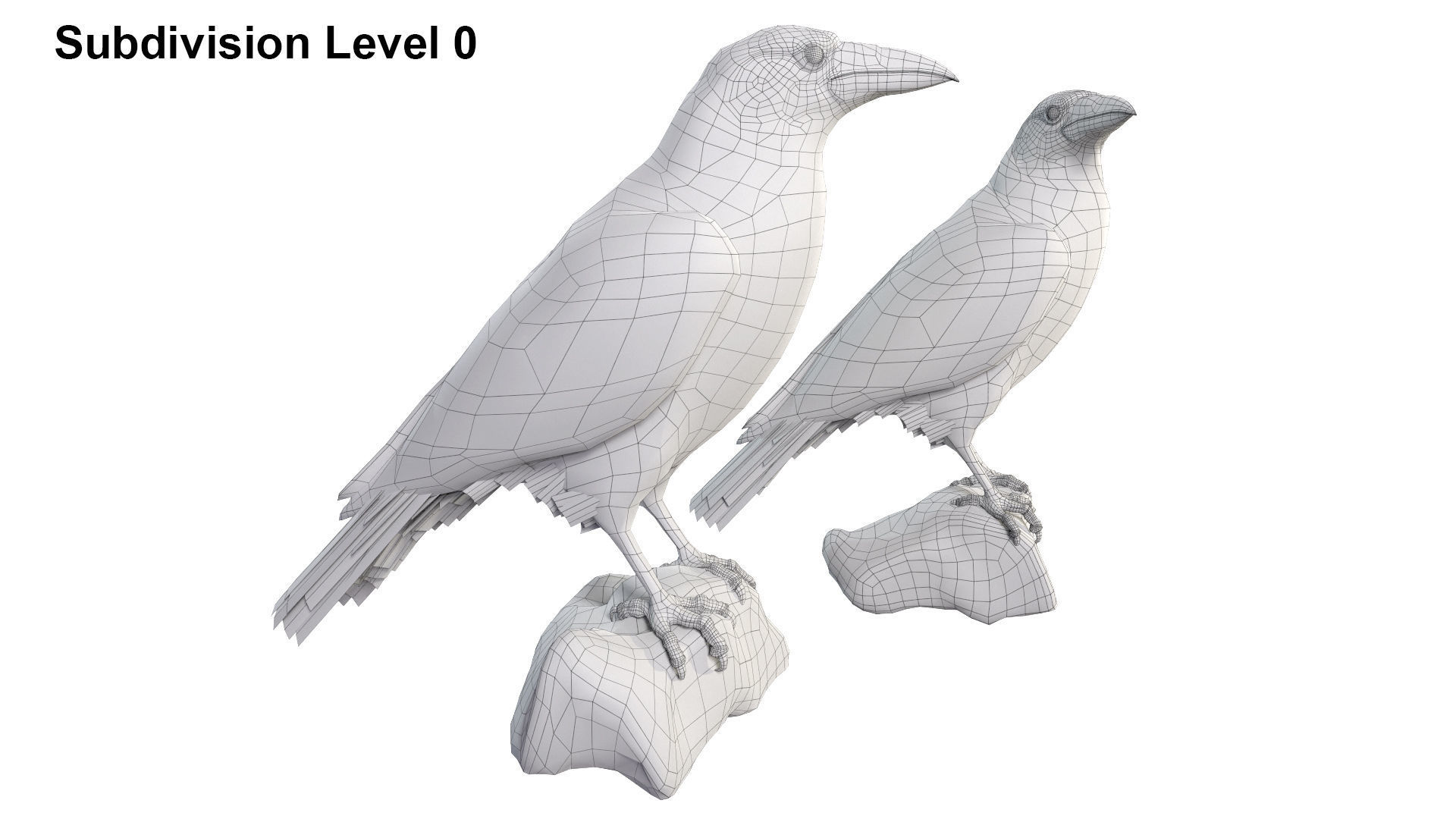 Birds Collection macaw perched on branch 3D model_141