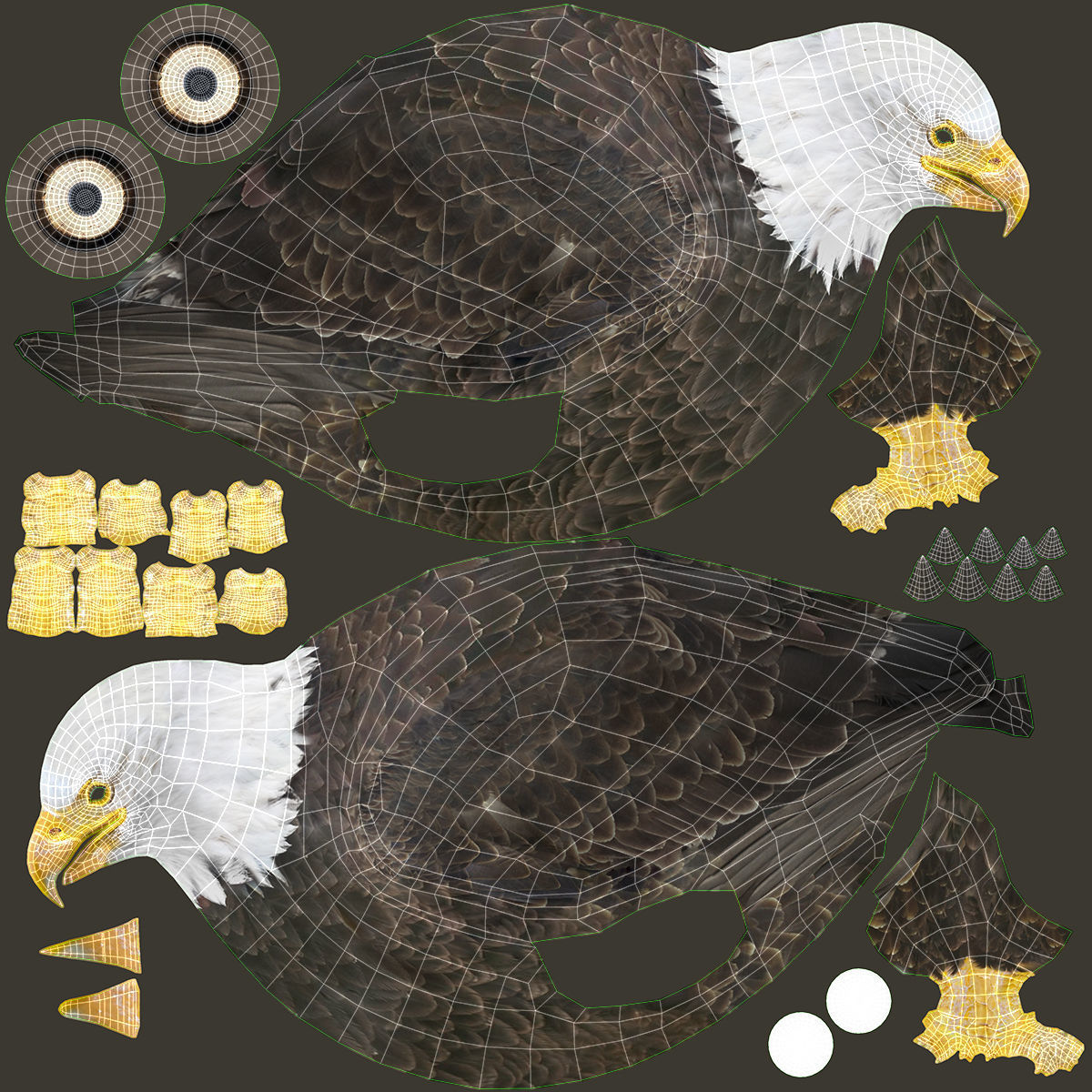 Birds Collection macaw perched on branch 3D model_106