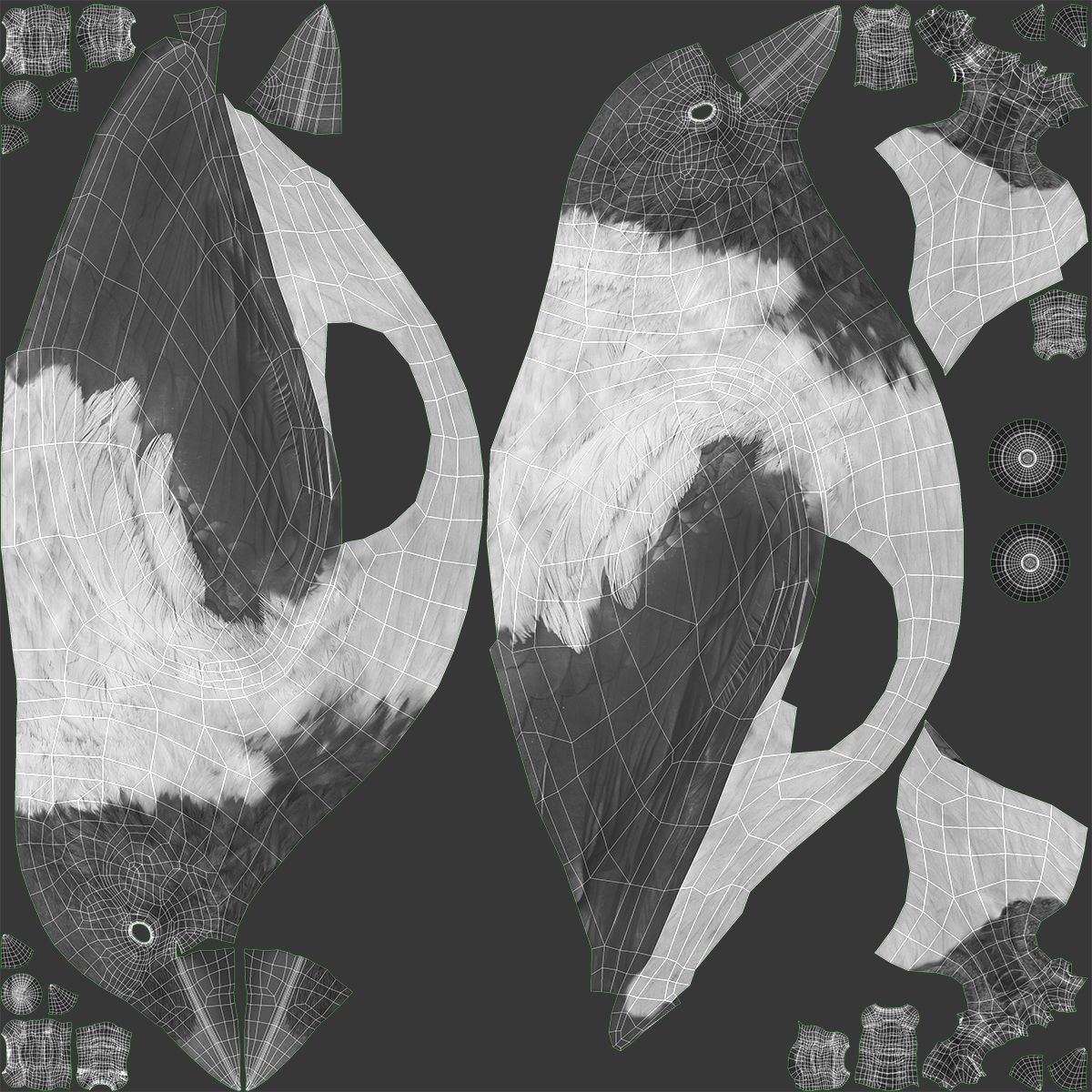 Birds Collection macaw perched on branch 3D model_143