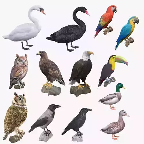 Birds Collection macaw perched on branch 3D model