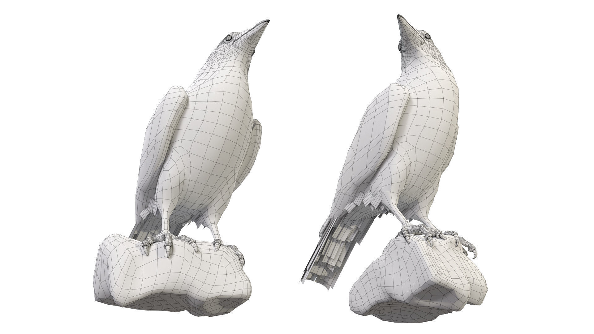 Birds Collection macaw perched on branch 3D model_139