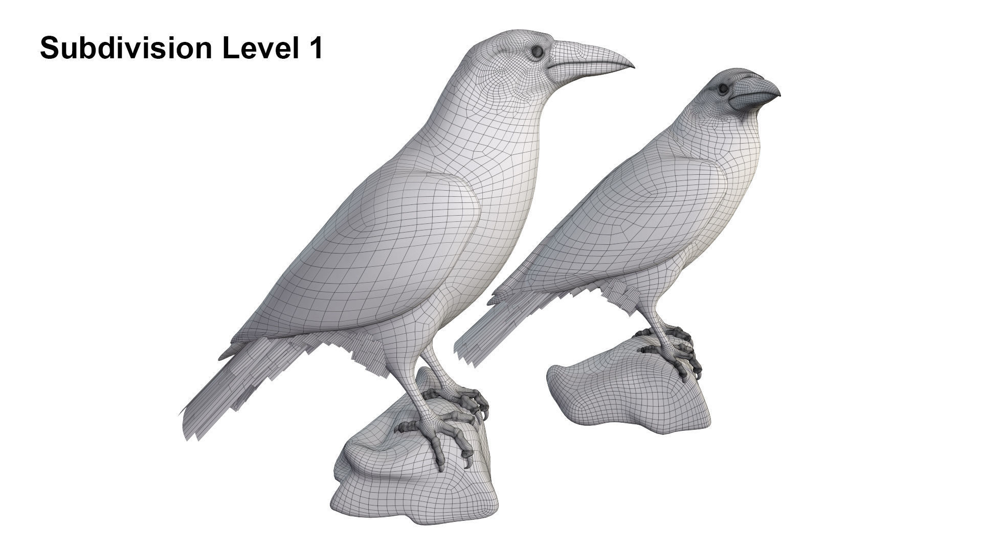 Birds Collection macaw perched on branch 3D model_153