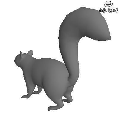 Low Poly Squirrel Low-poly 3D model_2